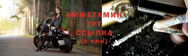 сатива Пересвет